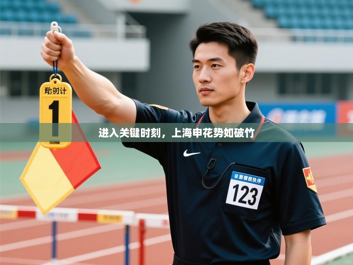 进入关键时刻,上海申花势如破竹 第1张